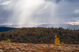 Another passing storm
