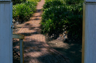 Up the Garden Path