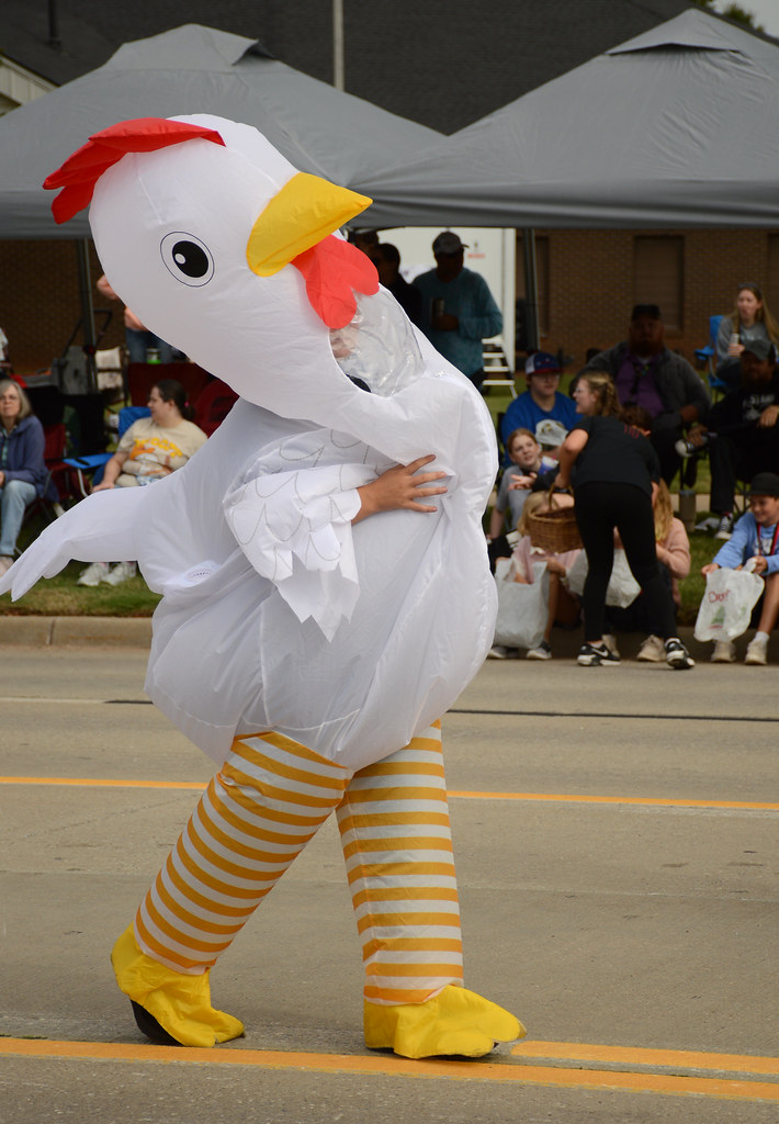 Why did the chicken walk in the parade?