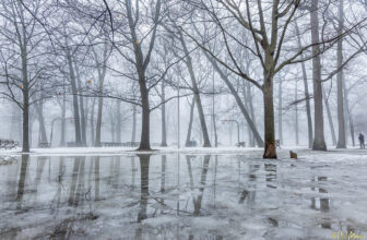 Kew Garden reflections  – The Beaches, Toronto