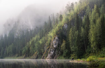 Foggy Morning