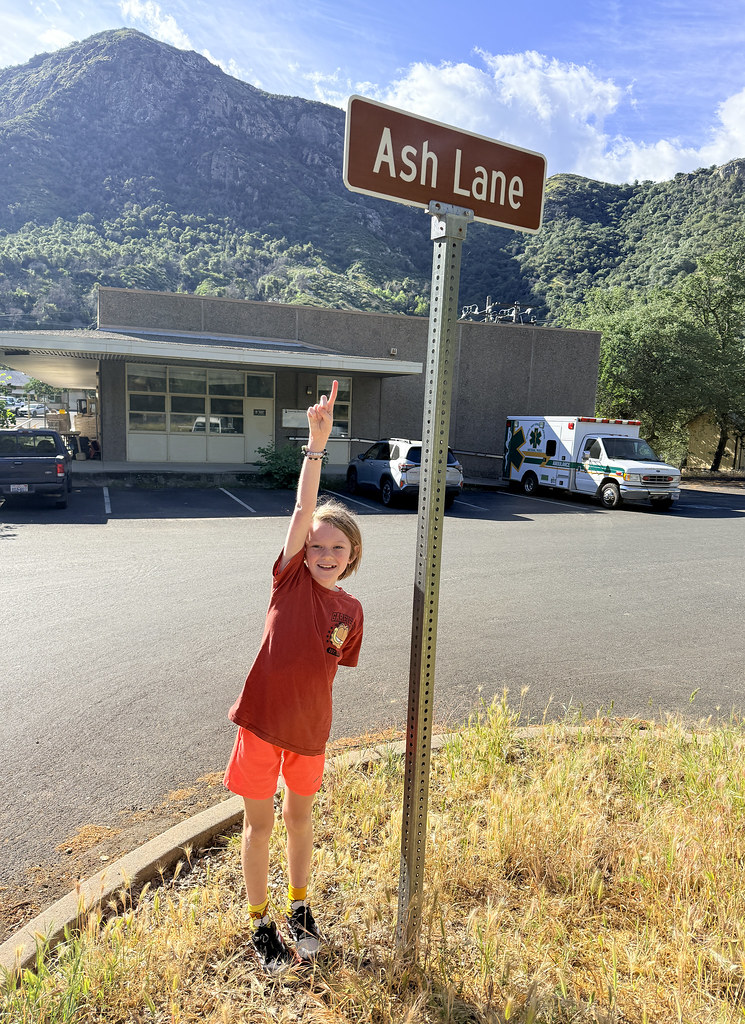 Ash Day 3399 | Apr 10 2026 Ash Lane | evaxebra