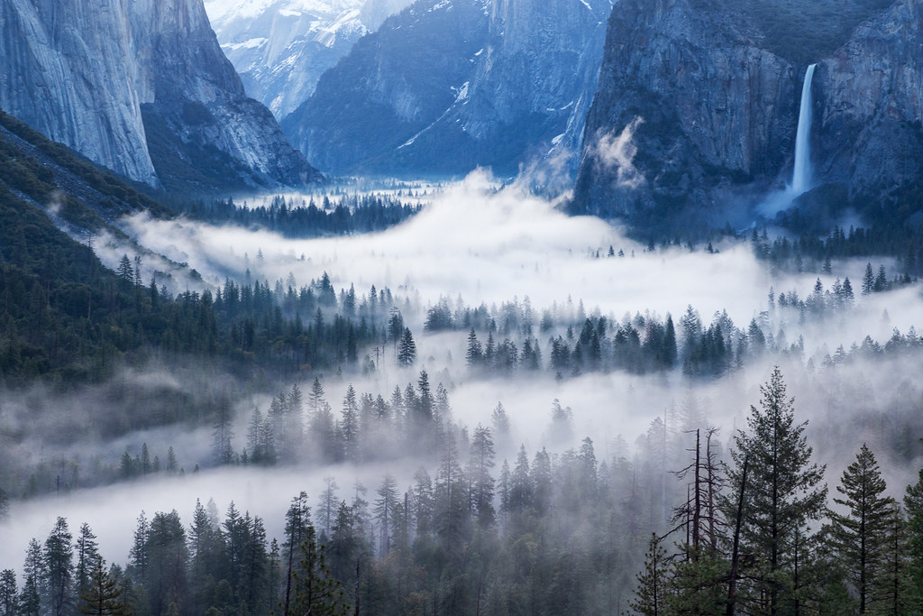Fog on the Floor