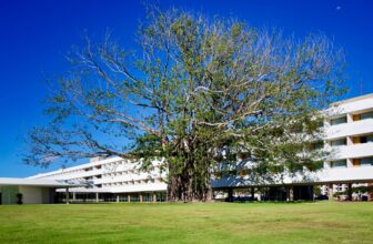Hotel Brasilia Palace | Arch. Oscar Niemeyer, 1958 It opened…