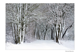 Chemin caché