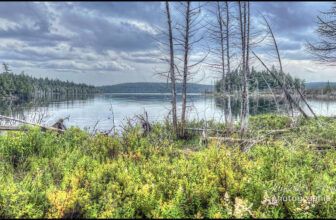 Harmonie sauvage | Lac Rond – Sentier du Sutherland Parc nat…