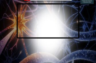 Millionaire’s Brain Academy