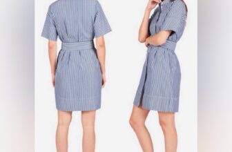 Everlane Striped Collarless Shirt Dress Size 2