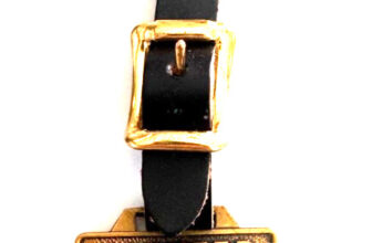 VERMEER SALES & SERVICE OH Trencher Tractor Chipper Advertising Pocket Watch Fob