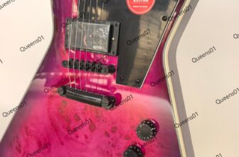 Factory Electric Guitar Burl Maple Top Mahogany Body Black Hardware Purple Burst
