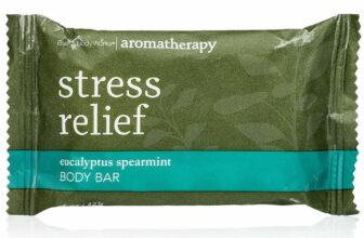 Bath and Body Works Stress Relief Eucalyptus Body Bar 1.5oz Set of 10 New
