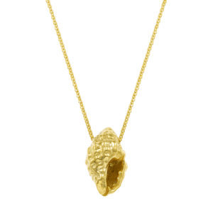 Feggeri Shell Necklace