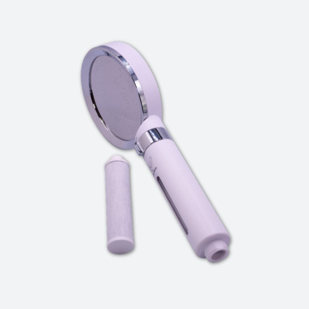 DoultonĀ® Shower Head with Filter - White