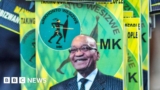 South Africa's ANC loses Zuma party name battle
