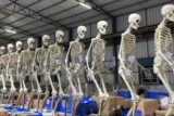 Home Depot’s Gigantic Skelton ‘Skelly’ Is Already Sold Out