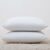 Hotel Quality Pack of 2,4 Pillows Bounce Back Anti Allergic Bedding Plump Plain