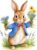 Floral Peter Rabbit Wall Art Bedroom Nursery Decor Colourful Vinyl Sticker Decal