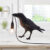 Auspicious Bird Resin Wall Lamp Nordic Simple Creative Bedside Nightlight Lamp