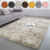 Large Shaggy Rug Fluffy Rugs Anti-Slip Living Room Bedroom Soft Carpet Floor Mat