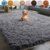 Fluffy Rugs Anti Slip Large Shaggy Rug Super Soft Mat Living Room Bedroom Carpet