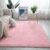 Large Shaggy Rugs Fluffy Living Room for Bedroom Soft Non Slip Warm Girls Women