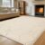 Fluffy Rugs Anti-Slip Large Shaggy Rug Super Soft Mat Living Room Bedroom Carpet