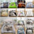 3D Dogs Cat Pattern Quilt Doona Duvet Cover Set Single Double King Bedding