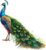 Spring Peacock Wall Art Bedroom Nursery Car Decor Colourful Vinyl Sticker Decal