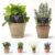 Artificial Plants in Terracotta Pot Mint Chive Basil Lavender Rosemary