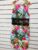 DEFINITIONS LADIES STRETCH BODYCON DRESS TROPICAL PRINT SIZE 12 NEW (750)