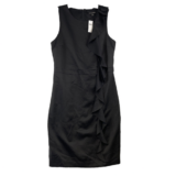 Banana Republic Ruffled Sleeveless Dress Women’s Size 8 Black Back Zip Lined NEW