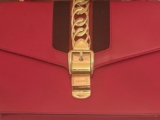 Authentic Gucci Sylvie Red Leather Crossbody Bag Gold Chain Web Stripe Entrupy