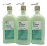 NEW Bath & Body Works Lot of 3 Bottles Breathe Deep Eucalyptus Lavender Lotion