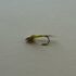 1 DOZ DF-5 BEAD HEAD FLYMPH PALE MORNING DUN (SELECT YOUR SIZE) NYMPH