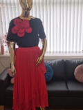 2pcs Luxee Beautiful Ladies Fashion Outing &   For Partying Wear