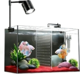 Fish Tank 3 Gallon Ultra-Clear Glass Fish Aquarium W/ Separator Plate for Betta