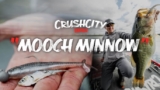 Rapala Crush City Mooch Minnow – Choose Size & Color