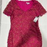 Kensie Pink/Gold Floral Embroidered Lace V-Neck Sheath Mini Dress Size 14