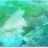 Waterproof Pouch Underwater Swimming Pool Floating Case Dry Bag For Mobile Phone