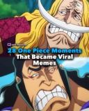28 One Piece Moments That Became Viral Memes