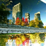 Reflections on Fall colours