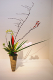 Ikebana Ikenobo with a string of Orchids