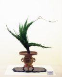 Skillfull ikenobo with pine in an amazing usabata with elephant heads