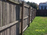 Back Fence
