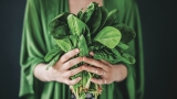Growing essentials for your cool season garden