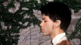 Rare Prince B-side “United States of Division” Receives Wide Release
