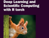Posit AI Blog: Deep Learning and Scientific Computing with R torch: the book