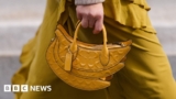 Coach: US sues to block its parent merger with Michael Kors owner