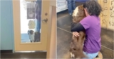 Woman’s ‘Bacon Treat’ To Shelter Dog Leads To Scratches On Her Door