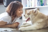 7 Ways to Make Your Home More Comfortable for an Aging Dog